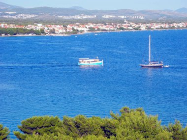 Çam manzara, Vodice, Hırvatistan.