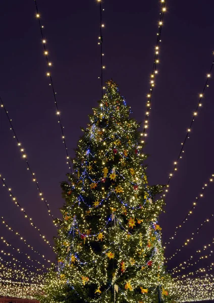 Árbol de Navidad Luces. — Foto de Stock