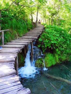 Şelale üzerinde geçit.