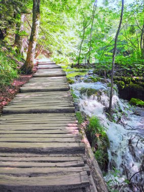 Şelale üzerinde geçit.