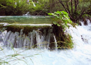 plitvice gölleri şelaleler.