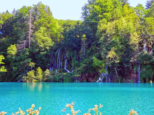 Pequenas cachoeiras de lagos de Plitvice . — Fotografia de Stock