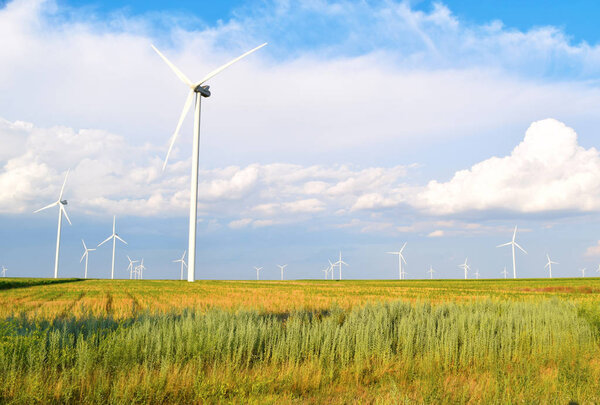 Wind turbines landscape.