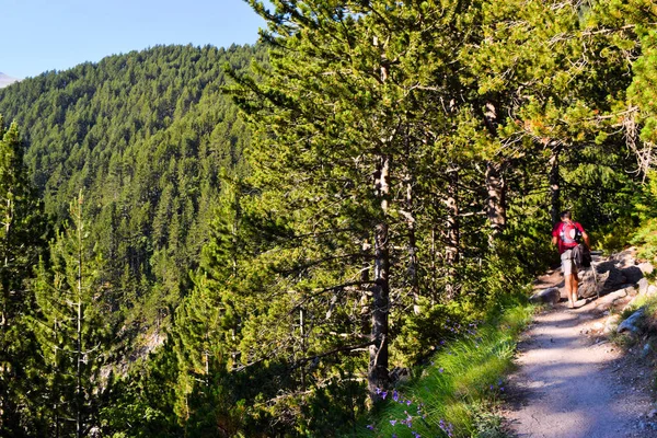 Olympus yürüme yolu.