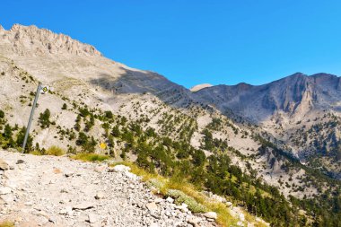 Olympus yürüme yolu.