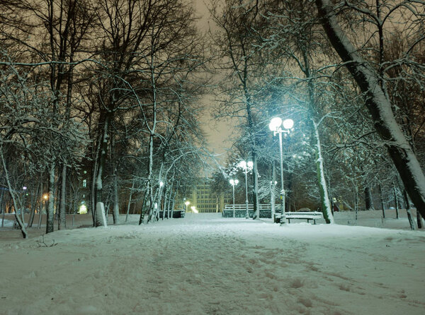 Snowy evening landscape of the city park.