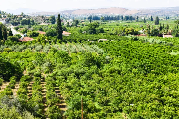 Green rural landscape. — Stock Photo, Image