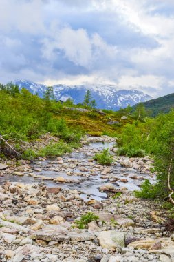 Norveç, Trolltunga 'ya Seyahat.