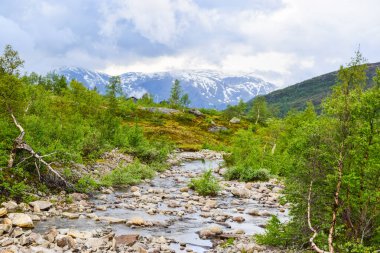 Norveç, Trolltunga 'ya Seyahat.