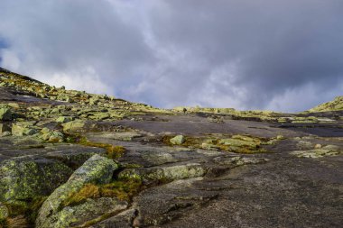 Norveç, Trolltunga 'ya yürüyüş gezisi.