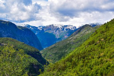 Norveç, Trolltunga 'ya yürüyüş gezisi.