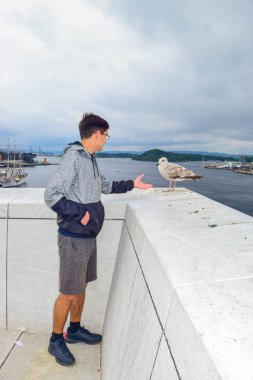 Adam ve martı. Oslo Opera Binası, Norveç.