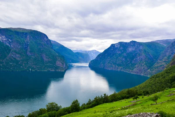 ノルウェーのアウランズフィヨルドの風景. — ストック写真