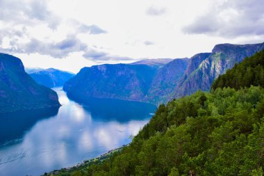 Norveç 'teki Aurlandsfjord manzarası.