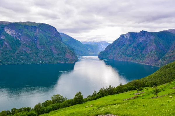 ノルウェーのアウランズフィヨルドの風景. — ストック写真