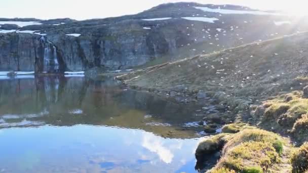 Beaucoup Moustiques Survolent Lac Alpin Lac Est Situé Proximité Route — Video
