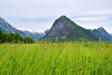 Jostedalsbreen Ulusal Parkı 'nın buzulları ve Fjaerland' deki Buzul Müzesi 'nin (Bremuseum) çevresindeki dağ manzarası. Sogn og Fjordane. Norveç. 