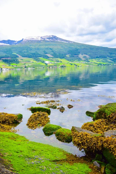 Hermoso Paisaje Innvikfjord Montañas Con Hermosas Piedras Verdes Orilla Del — Foto de Stock