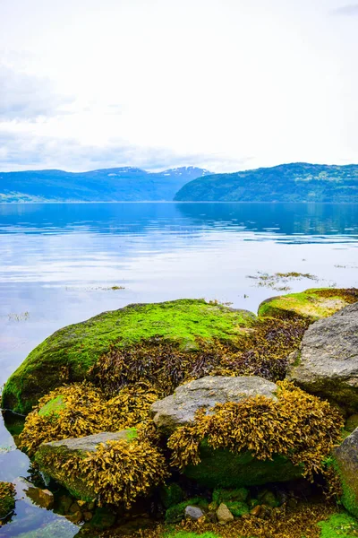 Hermoso Paisaje Innvikfjord Montañas Con Hermosas Piedras Verdes Orilla Del — Foto de Stock