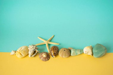 Deniz kabukları, taşlar ve deniz yıldızlarından oluşan mavi ve sarı arka plan kağıtları. Yazın dinlenme ve deniz fotoğrafı tasarım için en az kopya alanı, harf ya da metin için şablon.