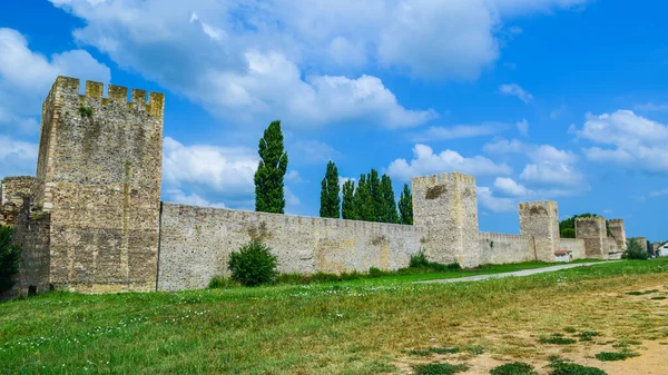 Fortaleza Smederevo Exterior Antigua Fortaleza Que Requiere Restauración Situada Orillas — Foto de Stock