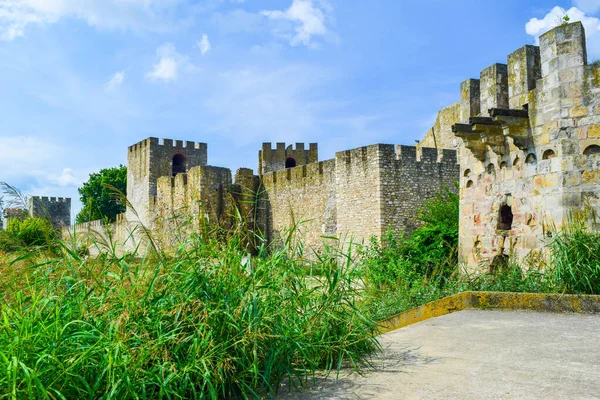 Fortaleza Smederevo Exterior Antigua Fortaleza Que Requiere Restauración Situada Orillas — Foto de Stock