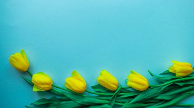 Mutlu bahar kartları. Açık mavi arkaplanda güzel bahar sarı laleleri buketi olan yaratıcı tebrik kartı. Uzayı, afişi ya da şablonu kopyala. Düz yatıyordu, durgun bir hayat, üst görünüm.