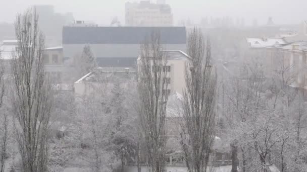 予期せぬ降雪が市を襲った 白いふわふわの雪は 街の広場 家を覆います 冬の到来または帰還 上からの眺め — ストック動画