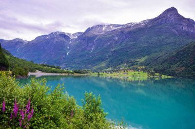 Dağlar arasındaki güzel Oldevatnet buzul gölü ve ön plandaki yeşil çayır manzarası. Jostedalsbreen Ulusal Parkı 'nın buzulları bu dağlarda bulunmaktadır. Norveç