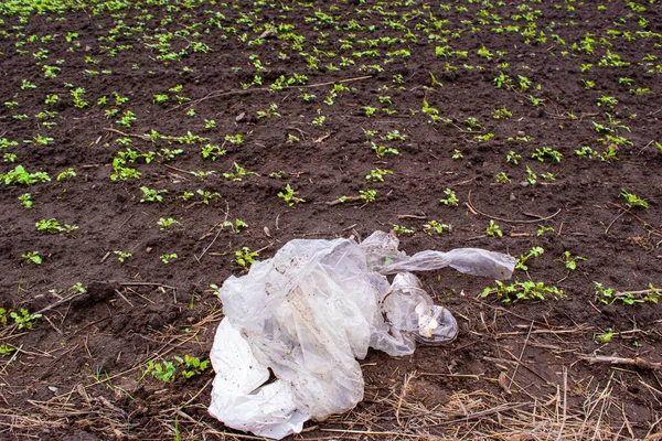 Lixo Plástico Está Campo Fazenda Perto Brotos Verdes Jovens Cultivados — Fotografia de Stock