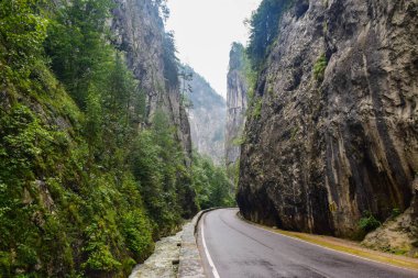 Romanya 'daki Bicaz Gorge karayolu boyunca uzanan nehir, Carpathian dağındaki en görkemli araçlardan biri. Vadinin yüksek uçurumları Bicaz dağı tarafından ikiye ayrılır..