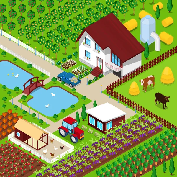 Isometrische landelijke boerderij landbouwgebied met dieren en huis. 3d platte illustratie vector — Stockvector