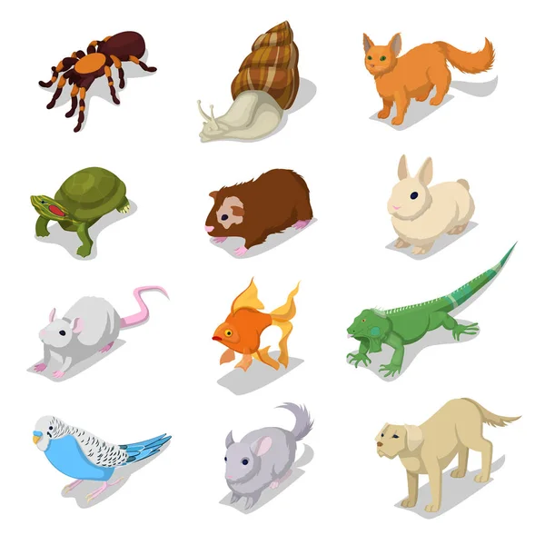 Ισομετρική οικόσιτα ζώα κατοικίδια γάτα, σκύλος, χάμστερ και κουνέλι. Διάνυσμα 3d επίπεδη απεικόνιση — Διανυσματικό Αρχείο