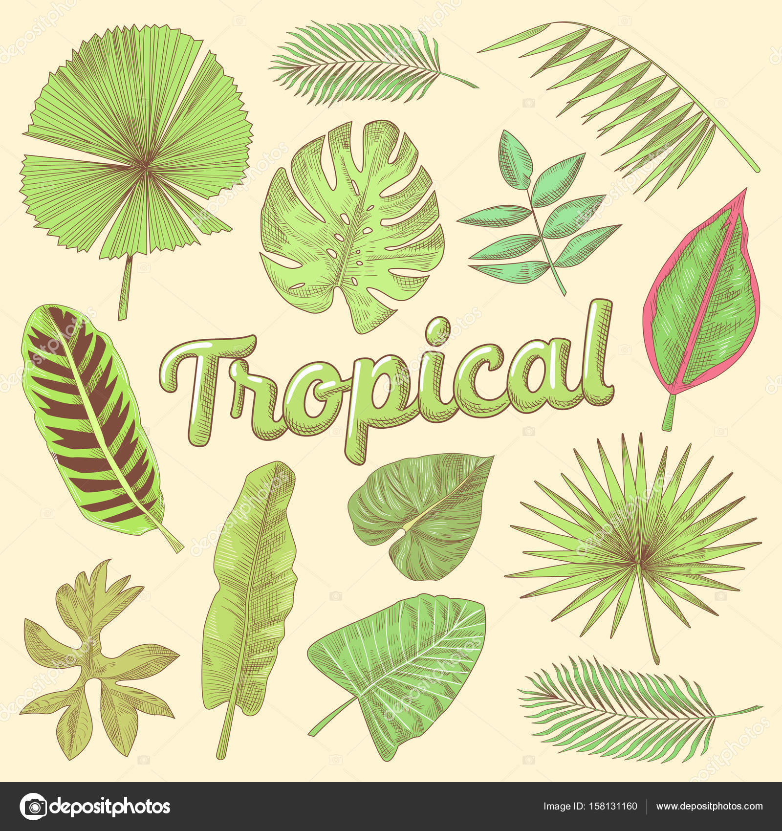 Tropical Leaves Hand Drawn Doodle with Palms and Flora (en inglés
