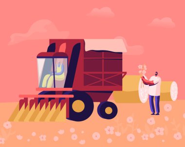 Cotton Picker Working in Field. Mechanized and Manual Harvesting of Fiber Raw Materials. Driver Riding Truck clipart
