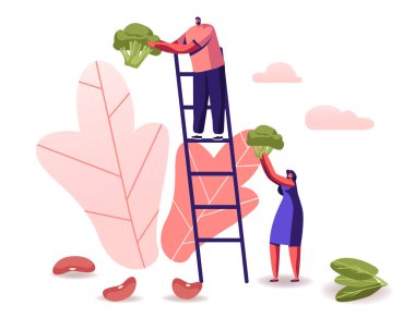 Merdiven Üzerinde Adam, Kadın Büyük Brokoli Parçası Tutuyor, Fasulye ve Ispanak Dağıtıldı. Sağlıklı Beslenme, Vitamin ve Ketogenik Beslenme Konsepti. Düşük Karbonhidrat Yeme Çizgi Filmi Düz Vektör İllüstrasyonu