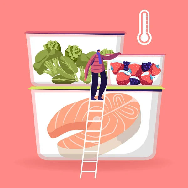 Tiny Male Character wing Winter Clothing and Scarf Stand on Ladder near Refrigerator Containers with Different Frozen Food, Fresh Berries, Vegetables and Fish Cartoon Flat Vector Illustration — стоковий вектор