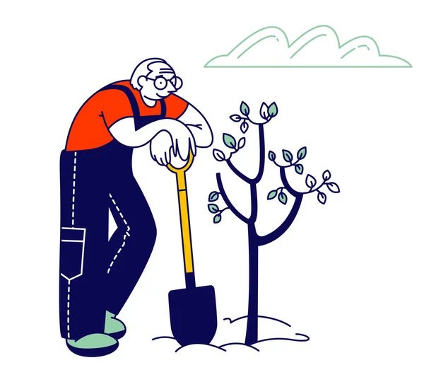 Male Pensioner Planting Tree. Aged Man in Overalls with Shovel Care of Plant. Active Old Man Gardening Hobby, Senior Grandfather Gardener Working Outdoors. Cartoon Flat Vector Illustration, Line Art — ストックベクタ