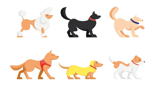 Set de lindos perros de diferentes razas aislados sobre fondo blanco. Poodle, Dachshund y Husky Mascotas, Grupo de Animales Vista Lateral. Personajes divertidos de la historieta, ilustración plana del vector, icono, arte del clip — Archivo Imágenes Vectoriales