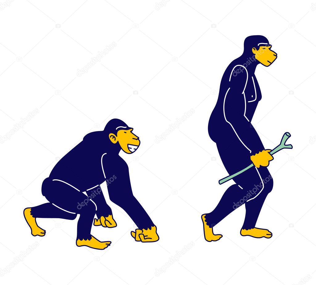 Evolution, Human Development Process Concept. Monkey Primate Evolve Steps From Ape to Upright Homo Sapiens Holding Stick in Hand, Darwin Theory, Anthropology Cartoon Flat Vector Illustration, Line Art