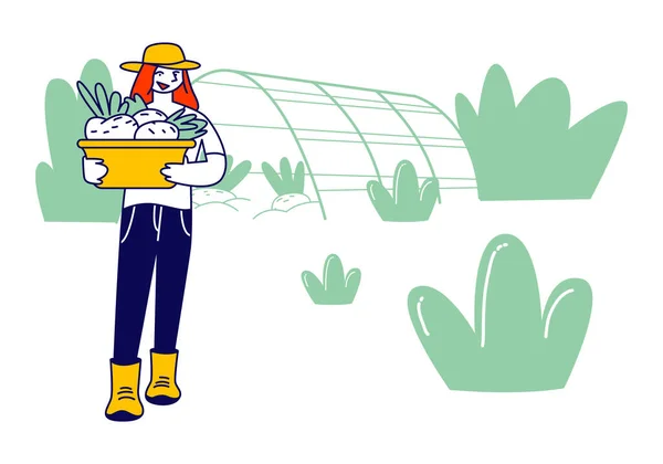 Meisje boer of tuinman in werkjas met mand van rijpe gezonde groenten uit kas, Farm Natural Product, Organic Food Gardening, Boerderij Cartoon Flat Vector Illustration, Line Art — Stockvector