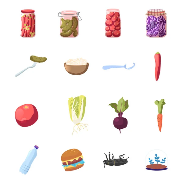 Conjunto de iconos, pimiento rojo picante de dibujos animados, encurtidos marinados y alimentos fermentados. Tomates, col y sal en cuchara Remolacha enlatada, zanahoria madura, verduras, agua y hamburguesa. Ilustración vectorial — Vector de stock