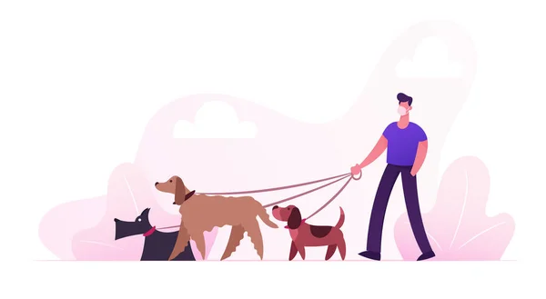 Male Character in Protective Medical Mask Walking with Dogs Team in Park at Coronavirus Quarantine. Care of Animals, Outdoor Activity. man Spending Time with Pets Outdoors. Cartoon Vector Illustration — Stock Vector