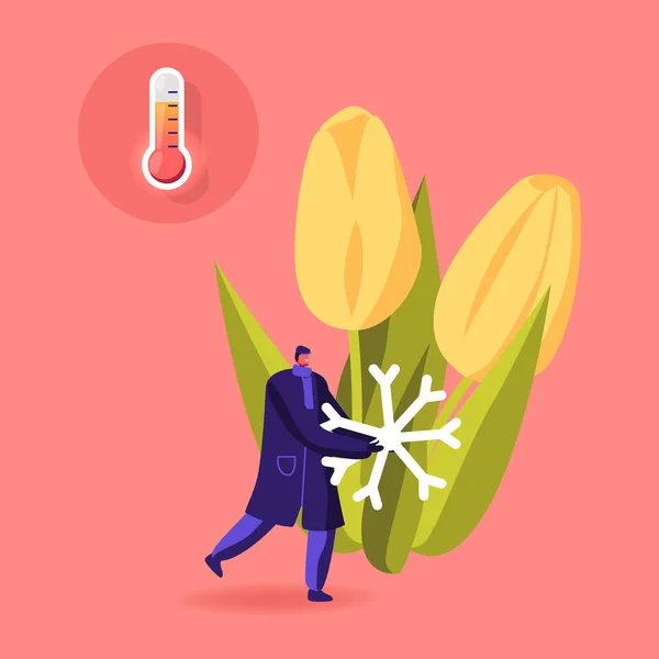 Cold and Freezing Spring Time Weather Concept (en inglés). Pequeño personaje masculino llevar enorme copo de nieve en flor flores de tulipán — Vector de stock