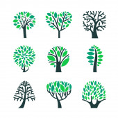 Zöld levelű fák ágakon, elszigetelt fehér háttérrel. Nyári vagy tavaszi szezonban leveles növények, Forrest, természet vagy környezetbarát tervezési elem, vágott tárgyak. Rajzfilm vektor Clipart Illusztráció