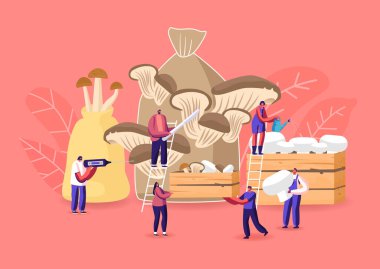 Minik Erkek ve Kadın Karakterler Evde Mantar Yetiştiriyor. Erkek ve Kadın Bahçıvanlık Hobisi, Shiitake Büyüt ve Kes, Porcini ve Şampiyonlar Torba ve Tahta Kutuda. Çizgi film Vektör İnsanlar İllüstrasyonu