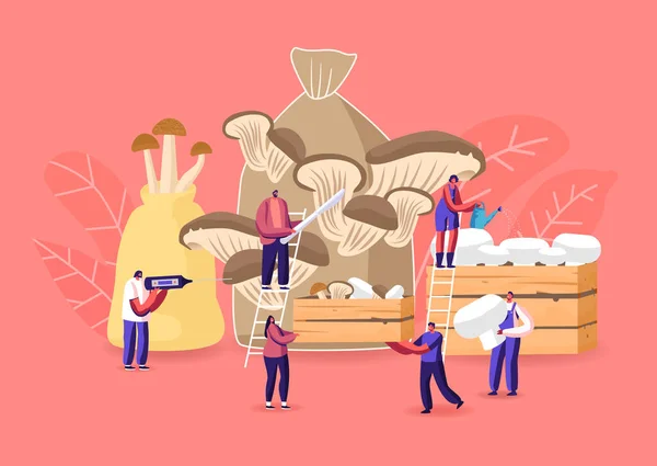 De minuscules personnages masculins et féminins cultivant des champignons à la maison. Jardinage hommes et femmes Hobby, Cultiver et couper Shiitake, Porcini et Champignons en sac et boîte en bois. Illustration de personnages vectoriels de bande dessinée — Image vectorielle