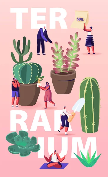 Cultivando Plantas em Terrarium Concept. Personagens masculinos e femininos minúsculos crescem Cacti e suculentas em vasos em casa, jardinagem, plantação de cartaz de Hobby Flyer Banner. Desenhos animados Pessoas Vector Ilustração — Vetor de Stock