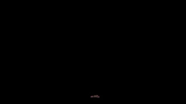 Мультфильм Зациклен Анимации Крота Копающего Яму Лопатой Земле — стоковое видео