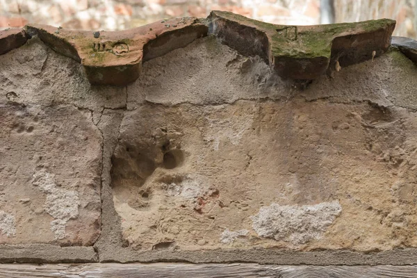 Animal print on a brick wall in baker corridor in luebeck — Stock Photo, Image